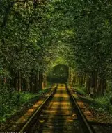 Best Wedding Photography locations in malappuram