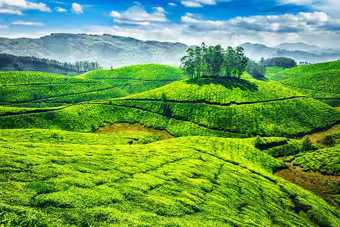 best wedding photography locations in malappuram