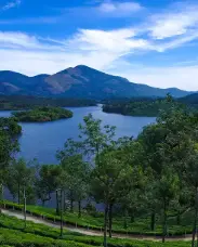 Best wedding photography in Palakkad