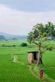 Best wedding photography in Palakkad