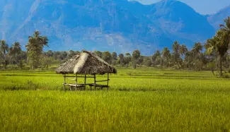 Best wedding photography in Palakkad